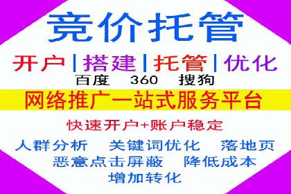 SEM广告投放的竞价策略与效果评估案例